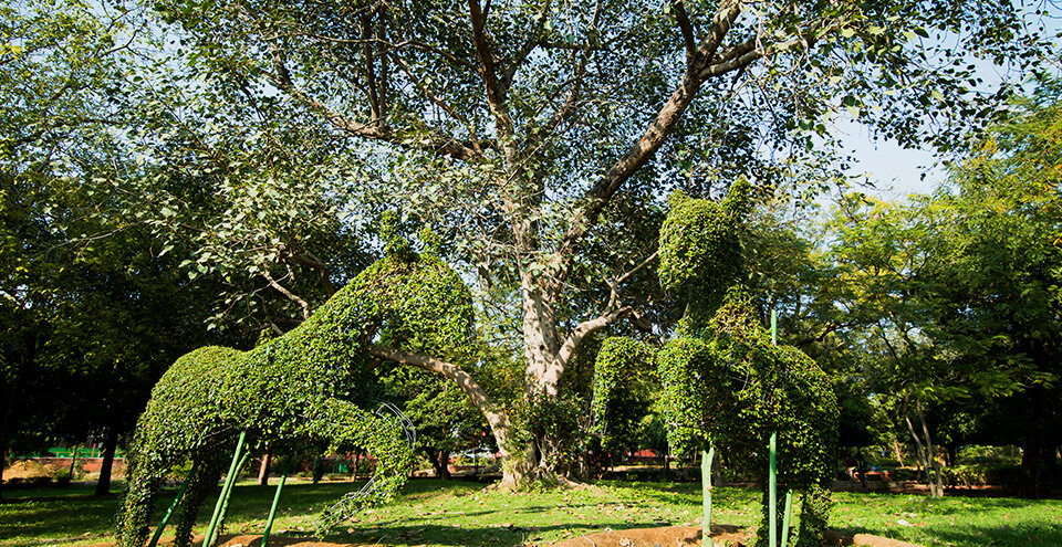 Ramnivas Garden Jaipur